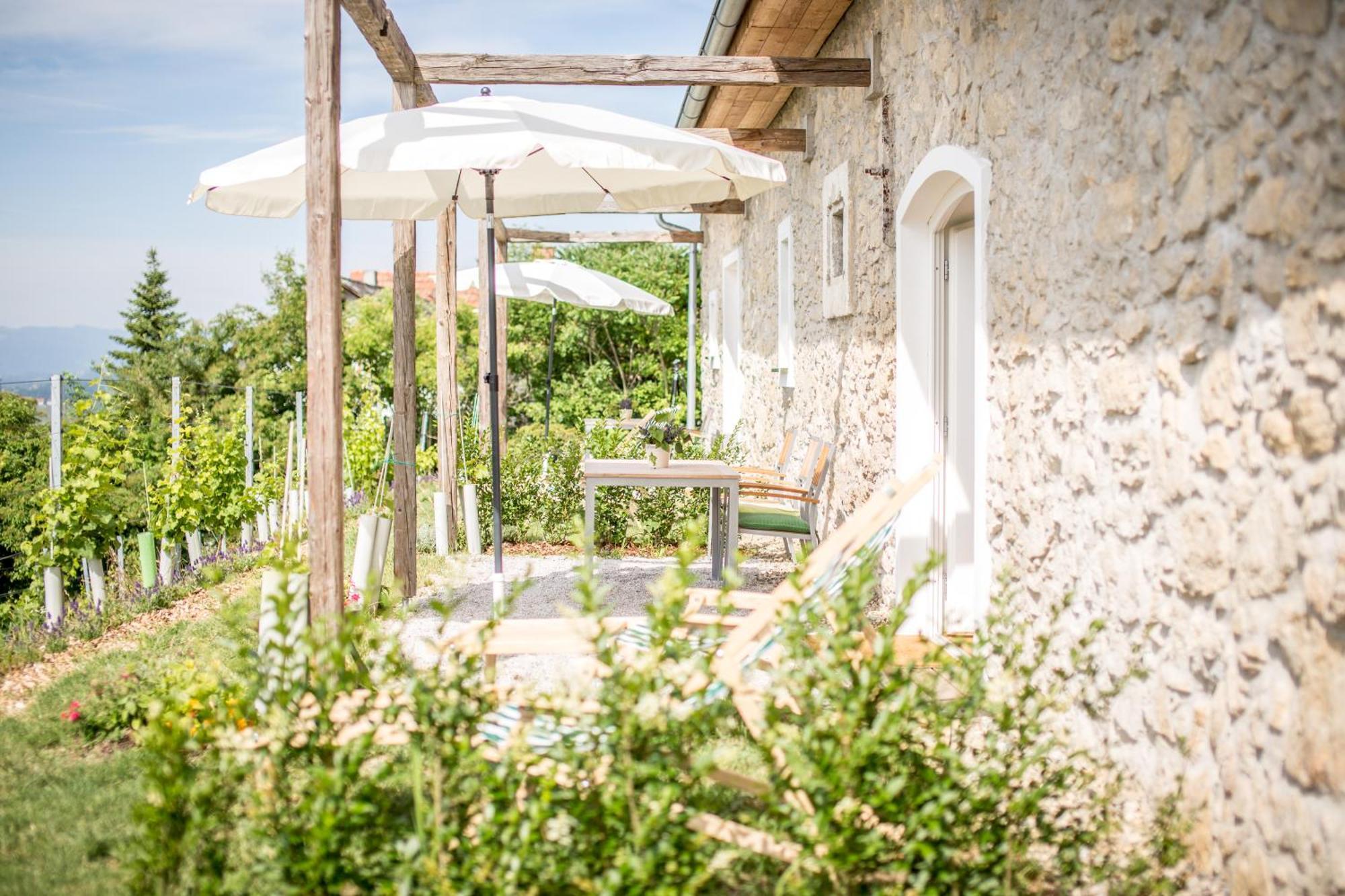 Winzarei, Weingut Tement Berghausen Quarto foto